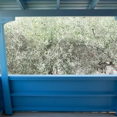 Apartament Afroditi Pansion *