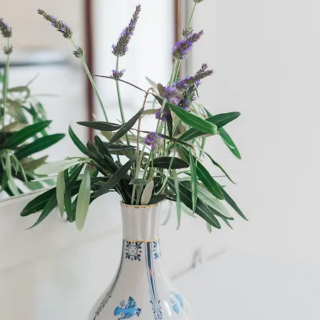 Apartament Afroditi Pansion Áyios Nikítas