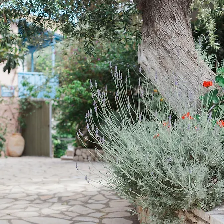 Afroditi Pansion Apartment