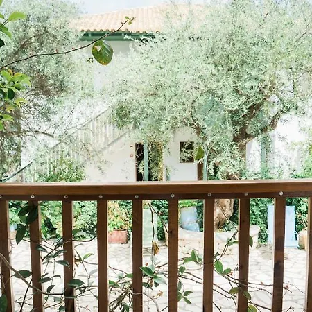 Apartament Afroditi Pansion *