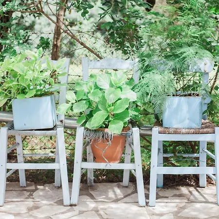 Appartement Afroditi Pansion