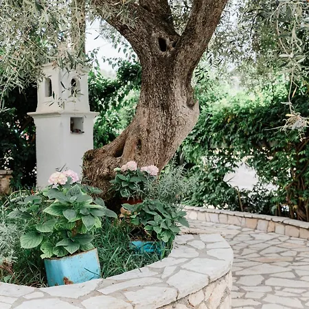 Apartment Afroditi Pansion Agios Nikitas