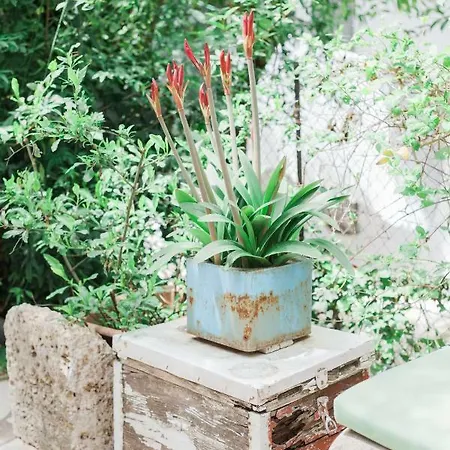 Afroditi Pansion Appartement